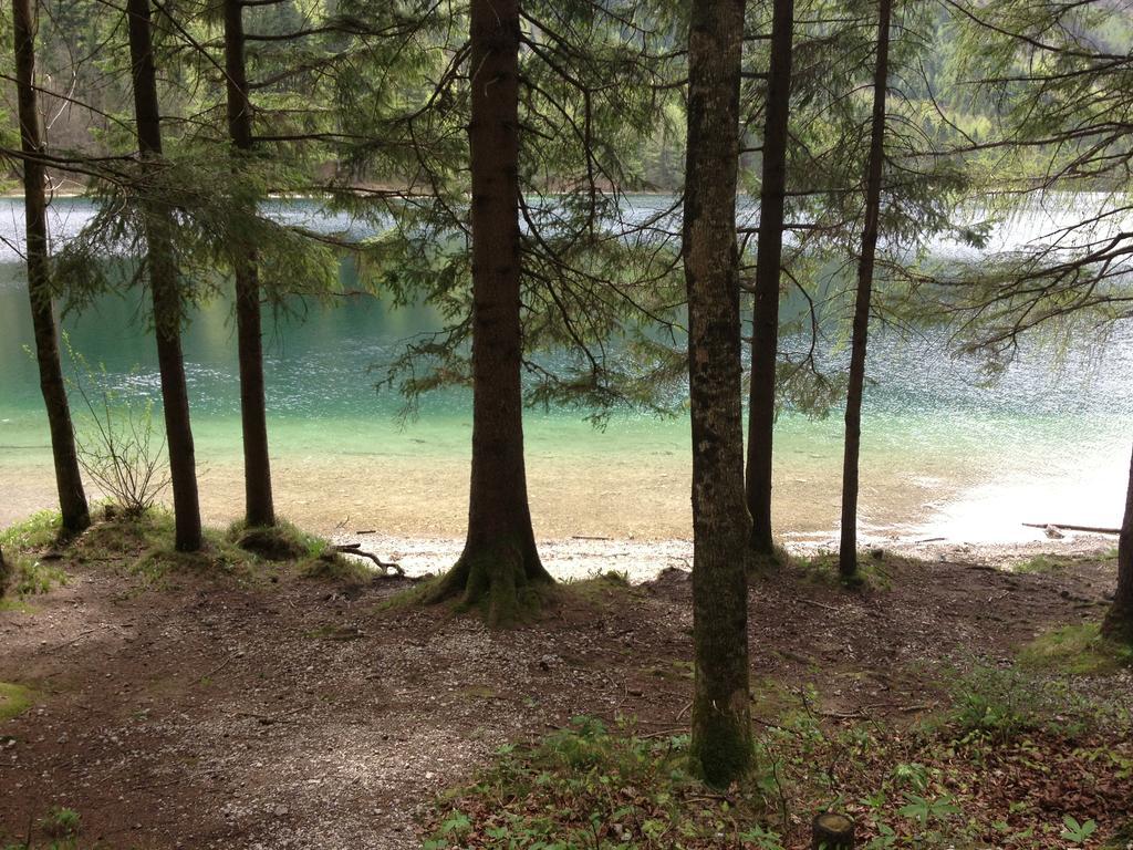 See 31, Ferienlofts Am Traunsee Διαμέρισμα Traunkirchen Δωμάτιο φωτογραφία